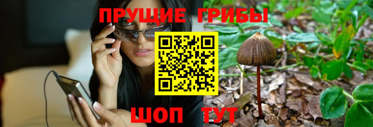 Галлюциногенные грибы ЛСД  Вход с VPN  Белая Калитва 